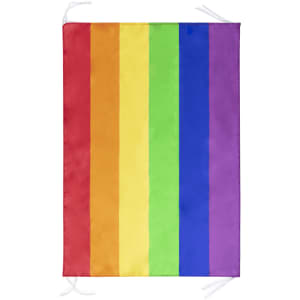 A rainbow flag with vertical stripes in red, orange, yellow, green, blue, and purple. Includes ties for display.