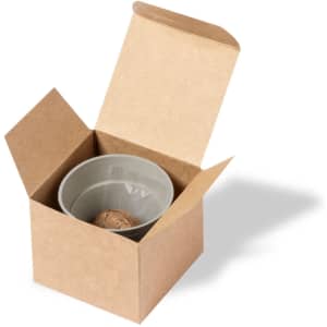 A grey flowerpot inside a brown cardboard box, with a round compressed seed disc included.