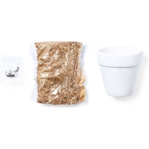 A white flowerpot accompanied by a packet of seeds and a bag of soil mix.