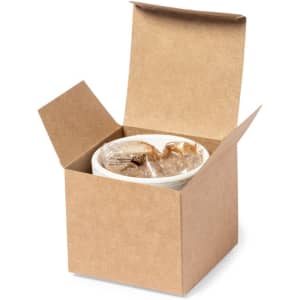 A brown cardboard box opened to reveal a white flowerpot, partially covered in plastic.