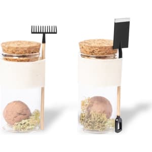 A glass jar containing a brown seed bonbon, with a cork lid, moss, and a tiny rake and spade attached.