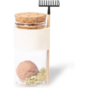 A glass jar with a cork lid, containing a brown seed bonbon and a small black rake, wrapped in a natural fabric.