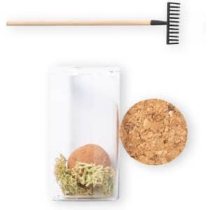 A clear glass container with a cork lid, containing a brown seed bonbon and moss, alongside a small black rake.