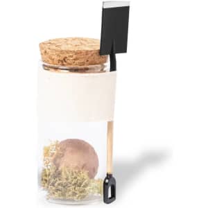 A clear jar with a cork lid containing a brown seed ball, surrounded by green moss and a small shovel marker.