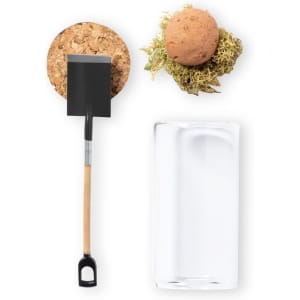 A small spade, a brown seed ball, and a clear glass container with a cork base.