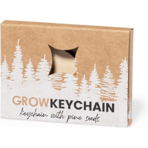 A keyring packaged in a kraft box with a clear window, featuring pine seeds and a design of trees.