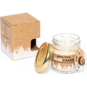 A glass jar candle with a gold lid, featuring a pine tree scent. Packaged in a simple brown box with a logo.
