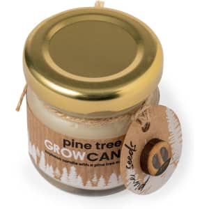 A glass jar candle with a gold lid, featuring a natural wooden tag and a pine tree design. The candle is white in colour.