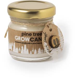 A small jar candle with a gold lid, featuring a pine tree scent and a tag tied with twine.