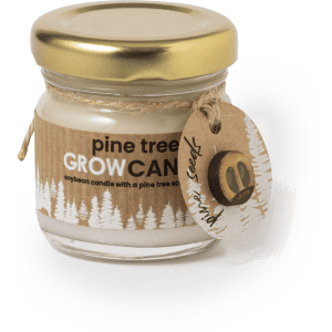 A jar candle with a gold lid, featuring a pine tree scent and a rustic label, set in a clear glass container.