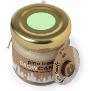 A glass jar candle with a gold lid and a natural tag, featuring pine tree designs and a green top.