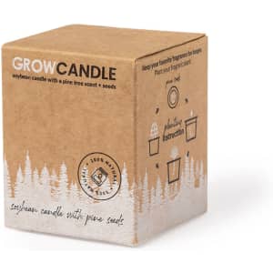A brown cardboard box featuring a soy candle with a pine tree scent and seeds, adorned with a logo and icons.