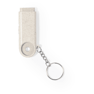 A keyring coin in a light grey colour with a metal chain and keyring attachment.