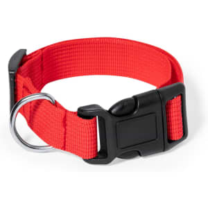 A red pet collar featuring a durable nylon strap and a black buckle with a D-ring for attaching a leash.