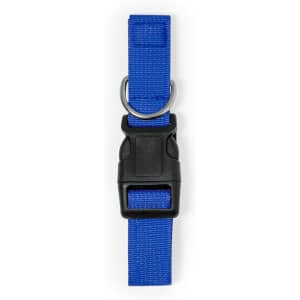 A blue pet collar featuring a robust buckle and a metal D-ring for attaching tags or leashes.