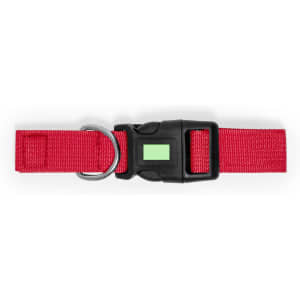 A red pet collar featuring a sturdy black buckle and a metal D-ring for attaching a lead.