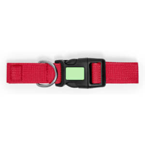 A red pet collar featuring a black buckle and silver D-ring, with a rectangular green tag included.