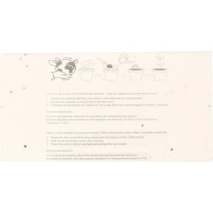 A textured seed paper card with illustrations and instructions for planting seeds, featuring earthy tones and flecks.