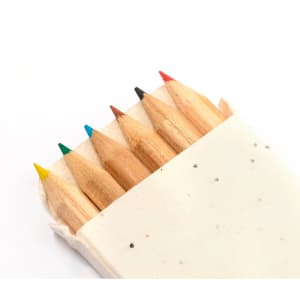 A pencil set featuring six coloured pencils in red, yellow, green, blue, black, and brown, in a natural holder.