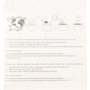 A guide for planting petunia seeds, featuring illustration steps and recommendations. Includes potting and temperature advice.