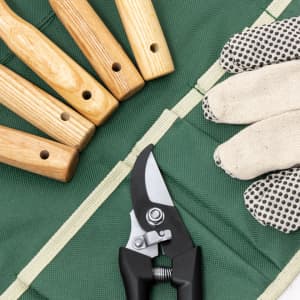A gardening set with a black pruning shear, beige gloves, and wooden-handled tools on a green background.