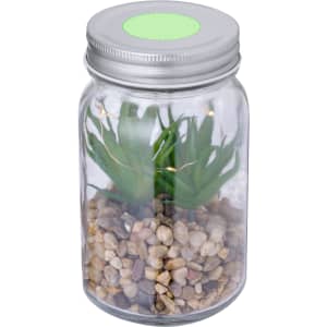 A decorative plant housed in a transparent jar with a silver lid, featuring green foliage and small pebbles at the base.