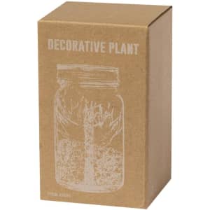 A decorative plant in a mason jar, presented in a brown cardboard box featuring a simple illustration.