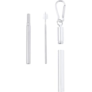 A drink bottle with a silver reusable straw, a cleaning brush, and a case with a carabiner for attachment.