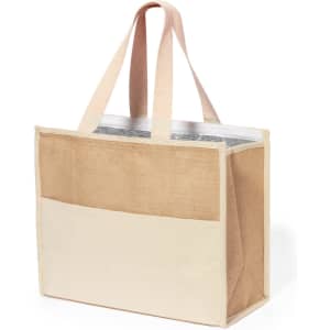 A cooler bag in peach and cream with sturdy handles and a clear top section. It has a logo on the side.