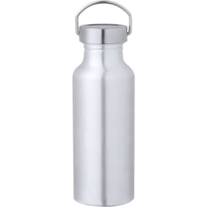 A drink bottle in a sleek silver finish, featuring a metal cap and handle. It has a minimalist design and a logo on the body.