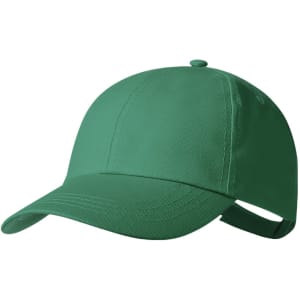 A green cap featuring a curved peak and an adjustable strap. The cap has a logo on it.