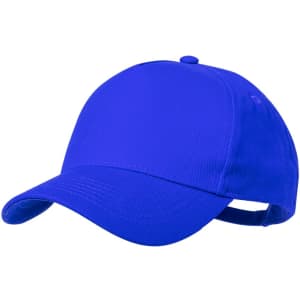 A blue cap with a curved visor and an adjustable strap at the back. It features a logo on the front.