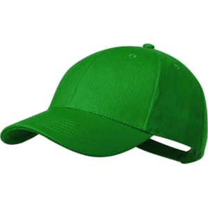 A green cap with a curved brim and adjustable strap at the back, featuring a logo.