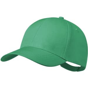 A green cap with a curved visor and an adjustable strap, featuring a logo on the side.