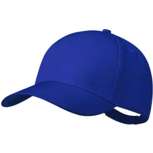 A blue cap with a curved brim and an adjustable strap at the back, featuring a logo.