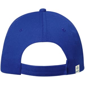 A blue cap with a flat brim and an adjustable strap at the back, featuring a small logo on the side.