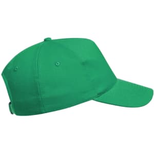 A green cap with a curved brim and an adjustable back, featuring a brand logo.