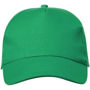 A green cap with a curved brim and a solid design. Features a logo on the front.