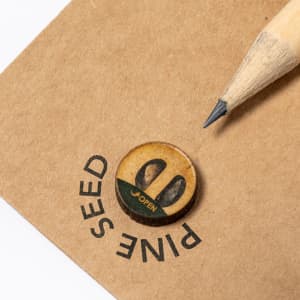 A grey-lead pencil with a sharpened tip is positioned next to a circular wooden marker on brown paper.