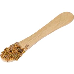 A wooden spoon holds a variety of colourful seeds, showcasing different shapes and sizes.