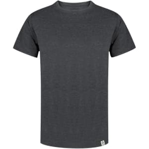 A grey adult t-shirt featuring a classic crew neck design and a small logo at the bottom.
