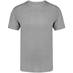 A grey adult colour t-shirt with a crew neckline and short sleeves. It features a logo.