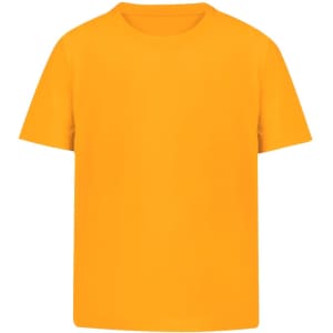 An orange T-shirt with a round neck and short sleeves. It features a logo on the front.