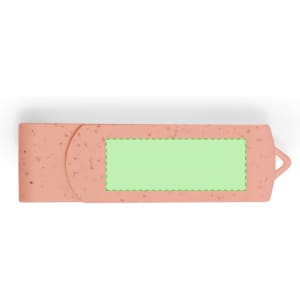 A pink flash drive with a green label area and a branding logo. Lightweight and compact design for easy portability.
