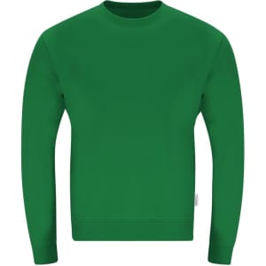 A green adult sweatshirt with long sleeves and a round neckline, featuring a logo on the side.