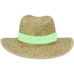A straw hat with a wide brim and a light green band around the crown.
