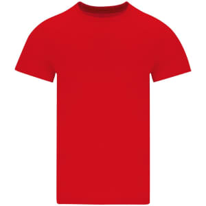 A red adult colour t-shirt with a round neckline and short sleeves. It has a branding logo.