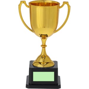 A gold trophy with a black base, featuring handles and a blank plaque for engraving.