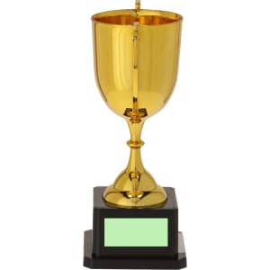 A shiny gold trophy with a black base, featuring a blank plaque for engraving.