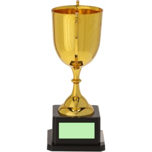 A gold trophy with a cup-shaped top, mounted on a black base. It features a blank plaque for engraving.